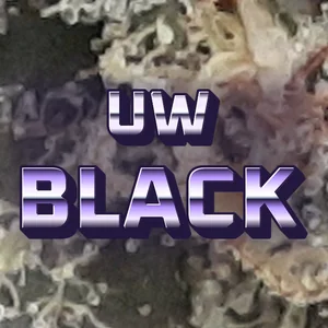 UW Black Cannabis Strain