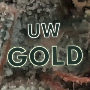 UW Gold Cannabis Strain