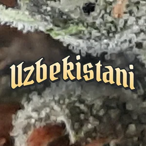 Uzbekistani Cannabis Strain