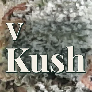 V Kush Cannabis Strain