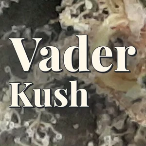 Vader Kush Cannabis Strain