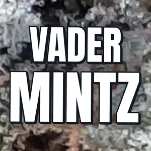 Vader Mintz Cannabis Strain