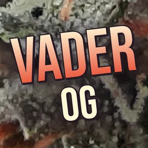Vader OG Cannabis Strain