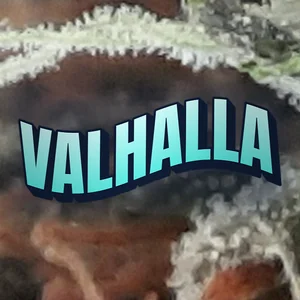 Valhalla Cannabis Strain