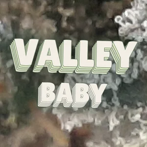 Valley Baby Cannabis Strain
