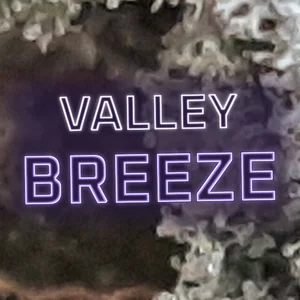 Valley Breeze Cannabis Strain
