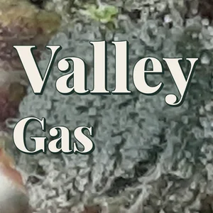 Valley Gas Cannabis Strain