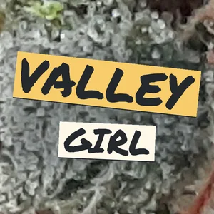 Valley Girl Cannabis Strain