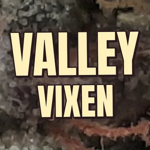 Valley Vixen Cannabis Strain