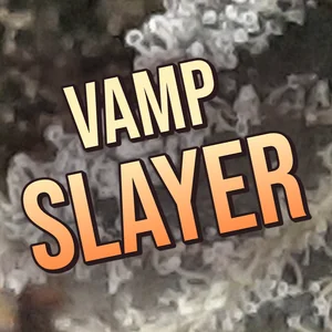 Vamp Slayer Cannabis Strain