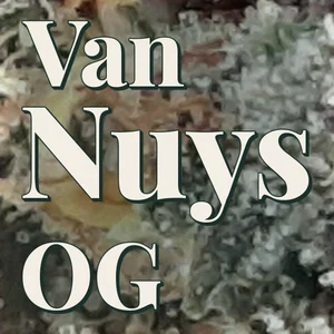 Van Nuys OG Cannabis Strain