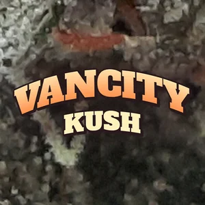 Vancity Kush Cannabis Strain