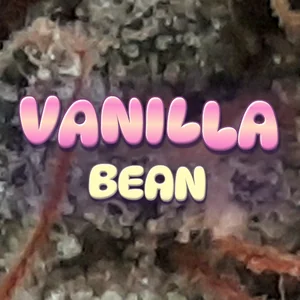 Vanilla Bean Cannabis Strain