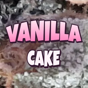 Vanilla Cake Cannabis Strain