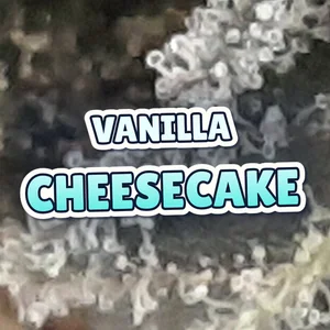 Vanilla Cheesecake Cannabis Strain