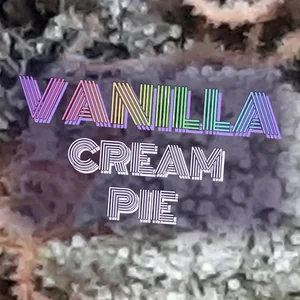 Vanilla Cream Pie Cannabis Strain