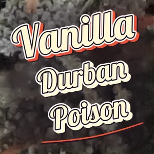 Vanilla Durban Poison Cannabis Strain
