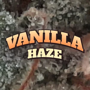 Vanilla Haze Cannabis Strain