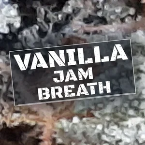 Vanilla Jam Breath Cannabis Strain