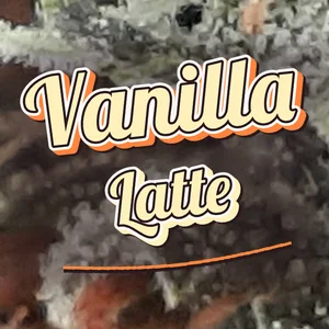 Vanilla Latte Cannabis Strain