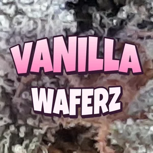 Vanilla Waferz Cannabis Strain