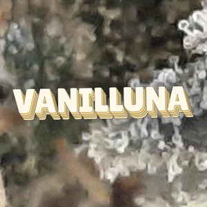 Vanilluna Cannabis Strain