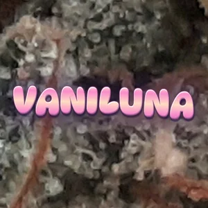 Vaniluna Cannabis Strain