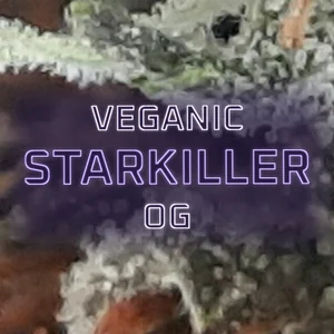 Veganic Starkiller OG Cannabis Strain