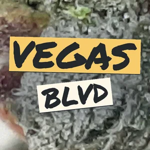 Vegas Blvd Cannabis Strain