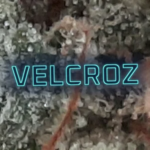 VelcroZ Cannabis Strain