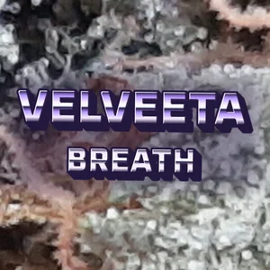 Velveeta Breath Cannabis Strain