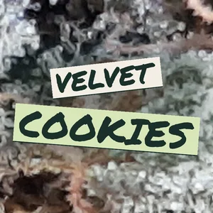 Velvet Cookies Cannabis Strain
