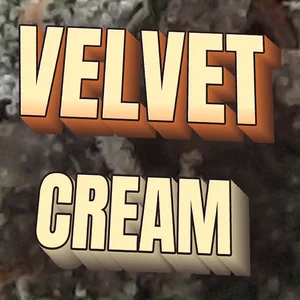 Velvet Cream Cannabis Strain