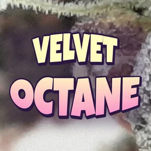Velvet Octane Cannabis Strain