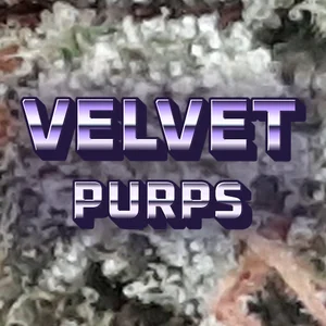 Velvet Purps Cannabis Strain