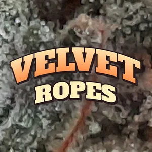 Velvet Ropes Cannabis Strain
