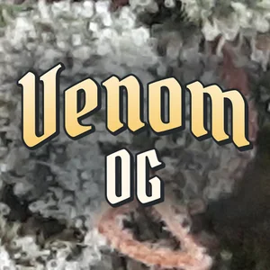 Venom OG Cannabis Strain