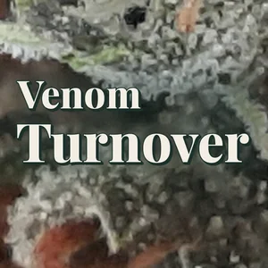 Venom Turnover Cannabis Strain