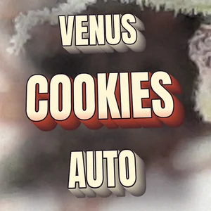 Venus Cookies Auto Cannabis Strain