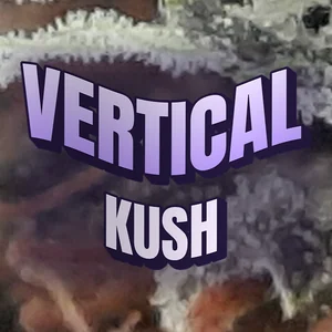 Vertical Kush Cannabis Strain