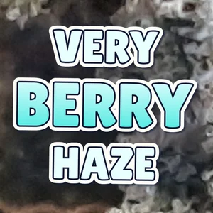 Very Berry Haze Cannabis Strain