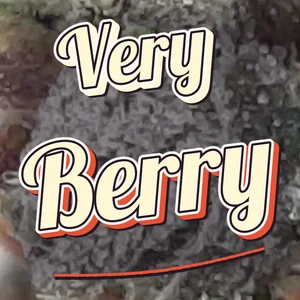 Very Berry Cannabis Strain