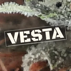 Vesta Cannabis Strain