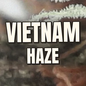 Vietnam Haze Cannabis Strain