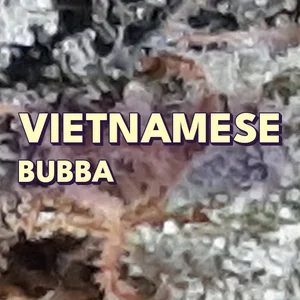 Vietnamese Bubba Cannabis Strain