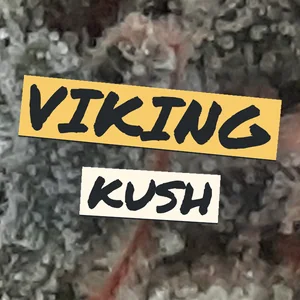 Viking Kush Cannabis Strain