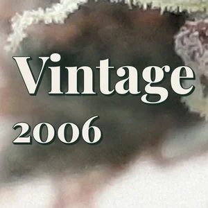 Vintage 2006 Cannabis Strain