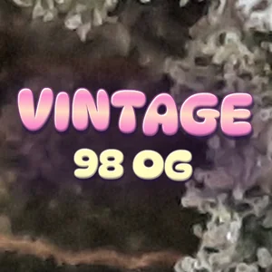 Vintage 98 OG Cannabis Strain