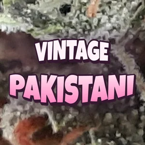 Vintage Pakistani Cannabis Strain