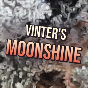 Vinter's Moonshine Cannabis Strain